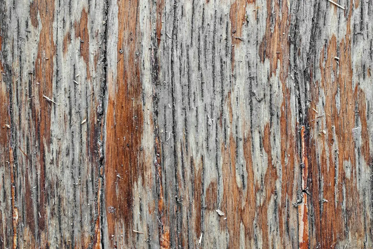 Side-by-side samples of laminate, bamboo, and solid wood desk tops