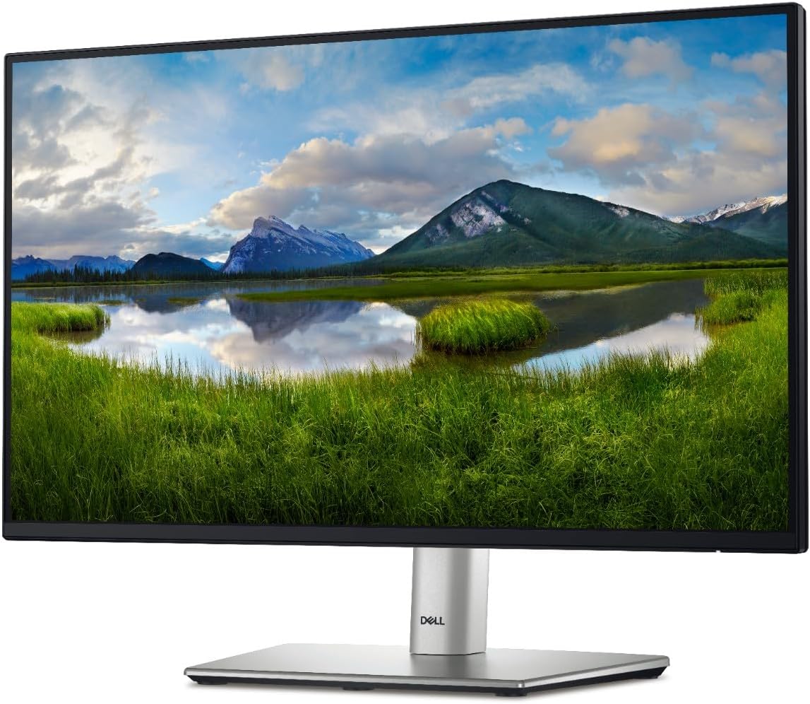 Dell P2422H 24-inch monitor